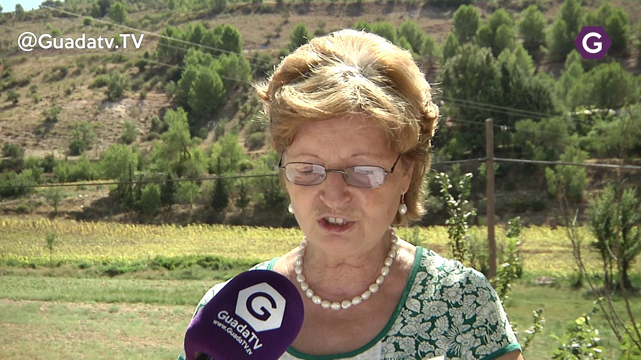 El equipo de gobierno de Tendilla reclama la finalización de la depuradora GUADATV