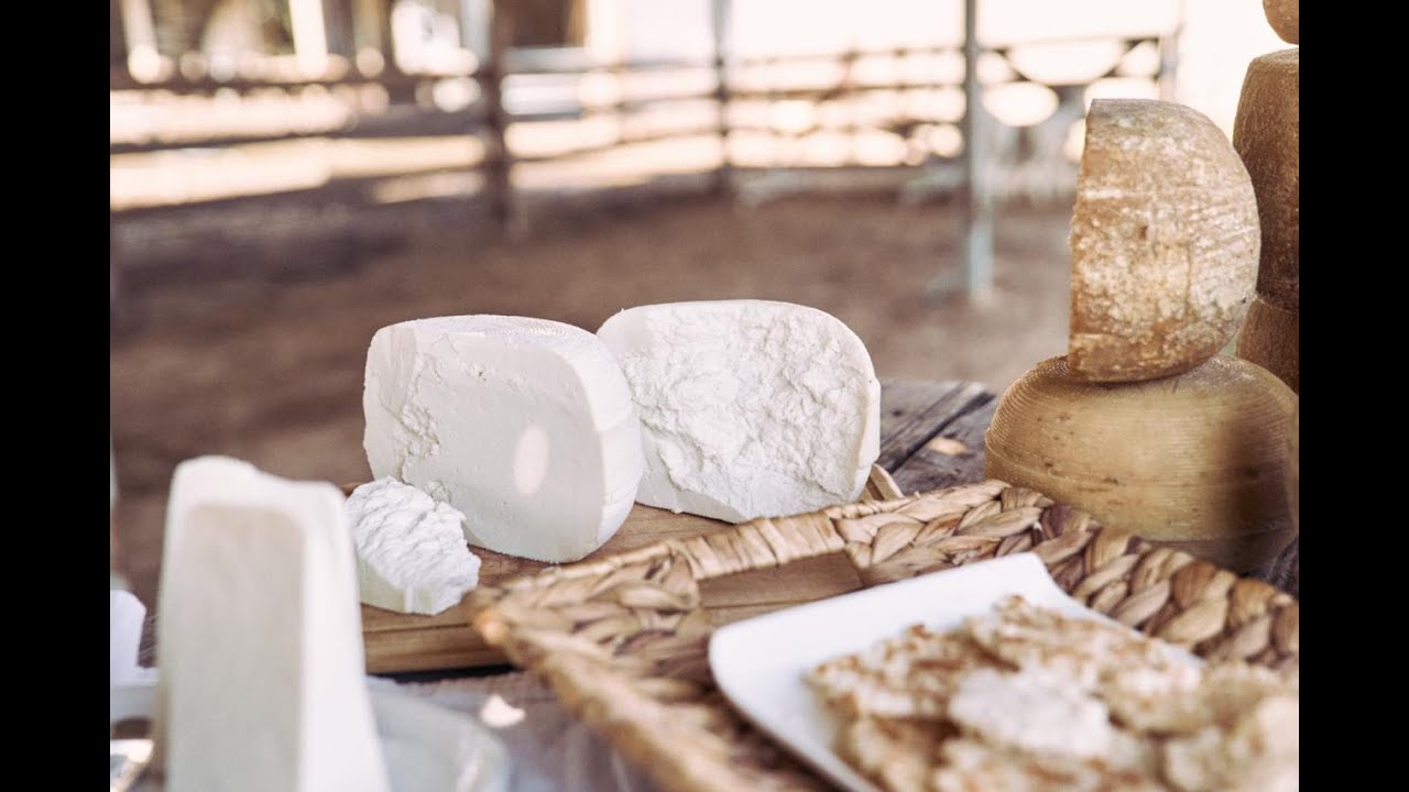 Cómo nace un queso de oveja: viaje a Pecorina + recetas imperdibles