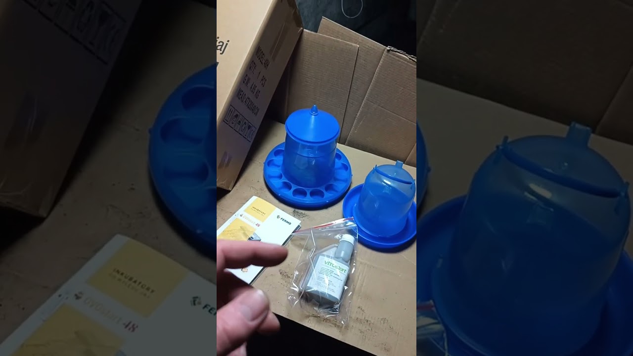 Będziemy mieli młode kurki