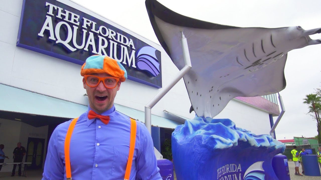 Blippi Español Visita un Acuario | Videos Educativos de Peces y Animales para Niños