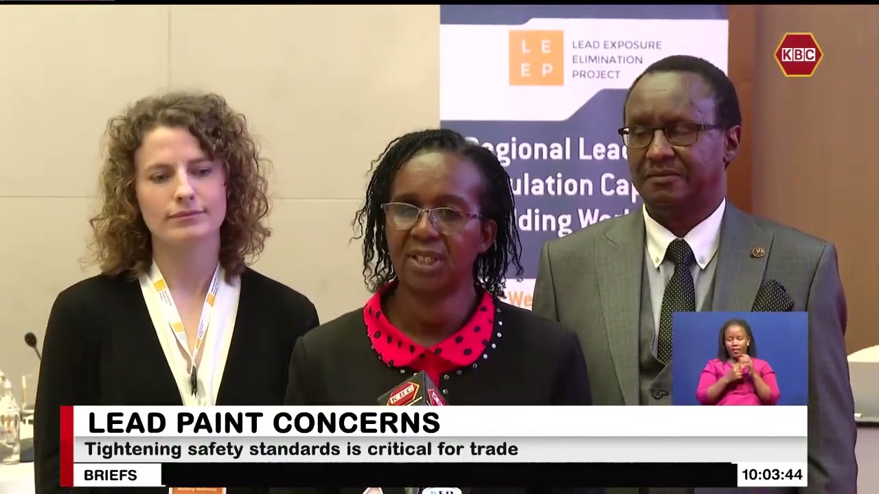 Africa calls for accelerated action on eliminating lead paint
