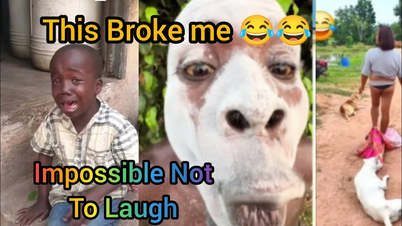 Try Not To Laugh Challenge (IMPOSSIBLE) 😂 | Part 3 | Funniest Videos on the Internet 😂
