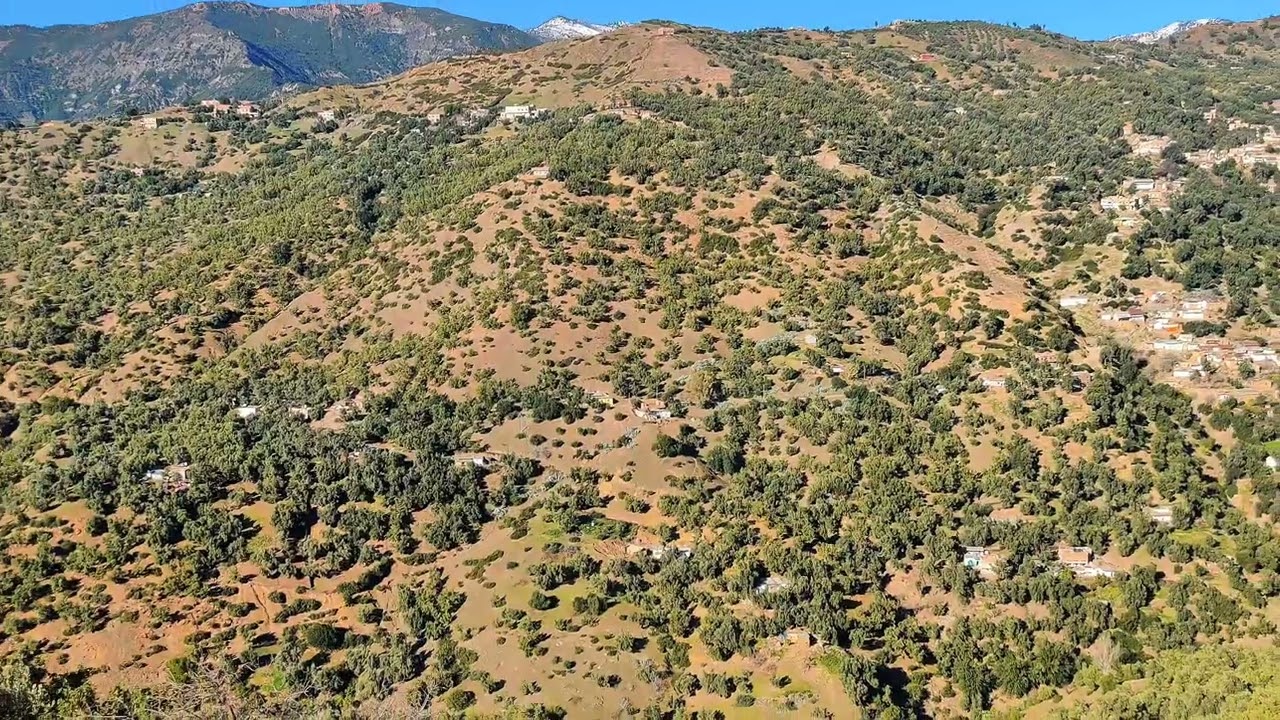 📍 بني بوشيبت تابرانت إقليم الحسيمة 