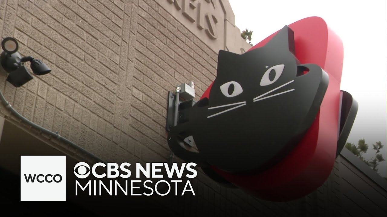 St. Paul cafe combining coffee and cats