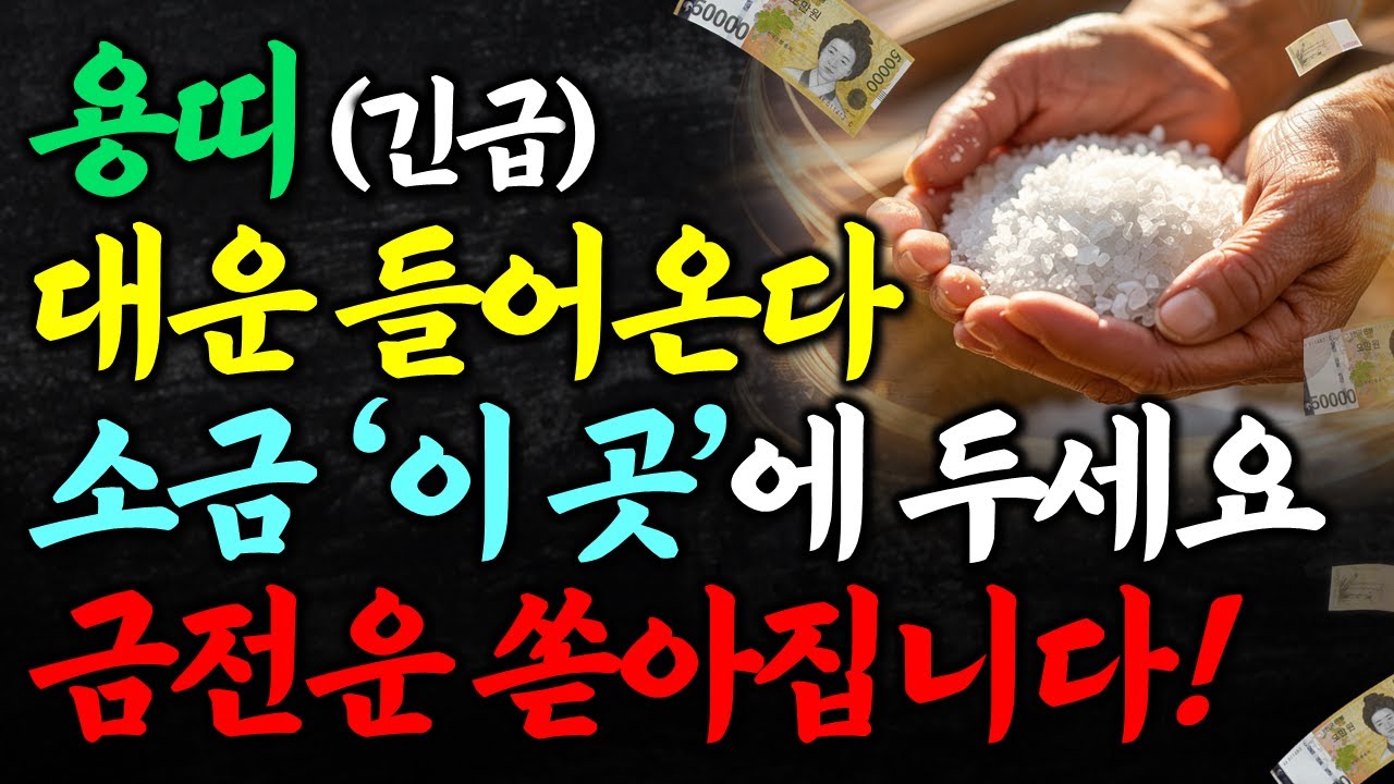 용띠는 소금을 '이곳'에 두면 2026년 돈복 쏟아집니다. 나간 돈도 들어오는 소금 풍수 용띠 금전운 건강운 재물운