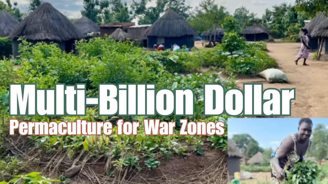 Humanitarian Aid: Permaculture's Biggest Opportunity: Part 1