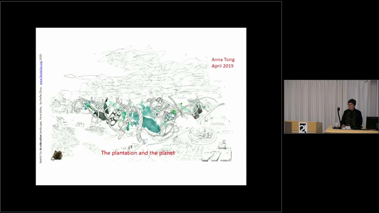 Donna Haraway, Anna Tsing: 