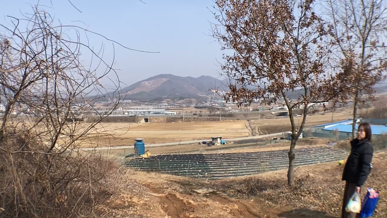 신니, 26년 3월 11일