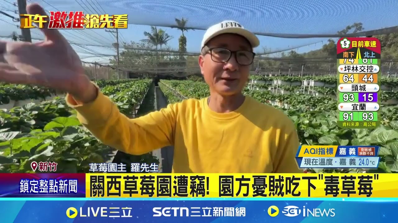 賊偷1.2萬元草莓 園主急報警