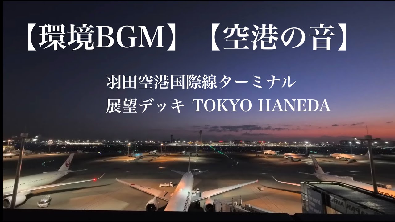 🌅【1時間】羽田空港の夜明け｜飛び立つ飛行機を静かに眺める朝 ✈️　#作業用bgm #環境音