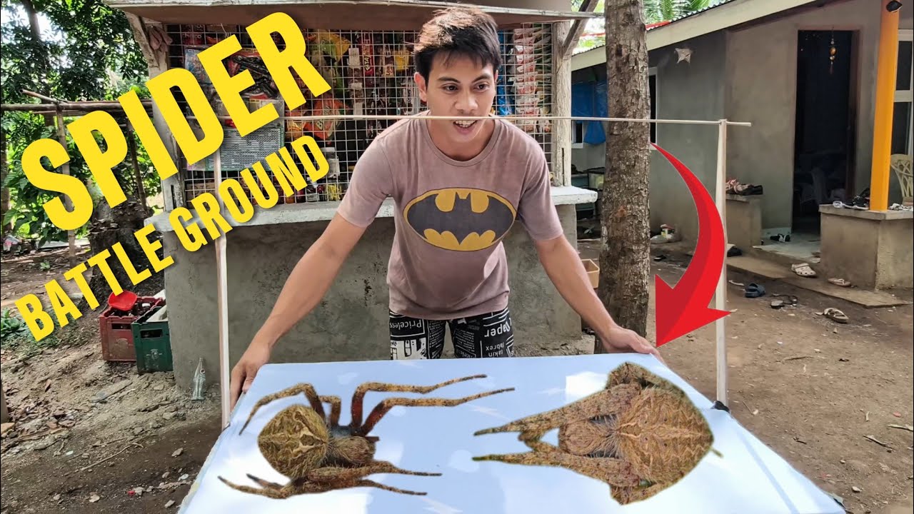 GUMAWA AKO NG BATTLE GROUN NG MGA GAGAMBA ‼️