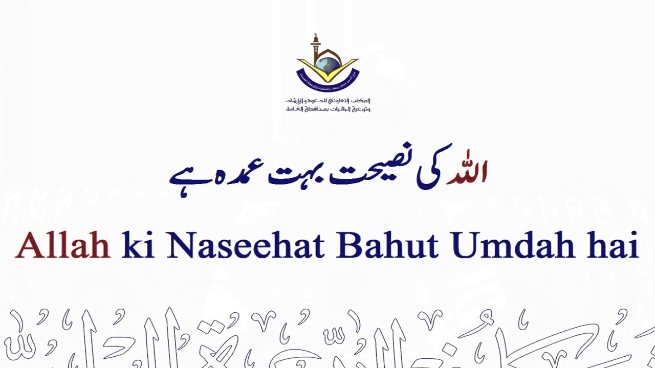 Allah ki Naseehat par Amal bhi Umdah Cheez hai | Shk Maqsood Ul Hasan faizi