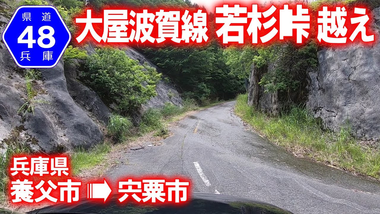 【車載動画】兵庫県道48号大屋波賀線 若杉峠越え (兵庫県養父市→宍粟市)