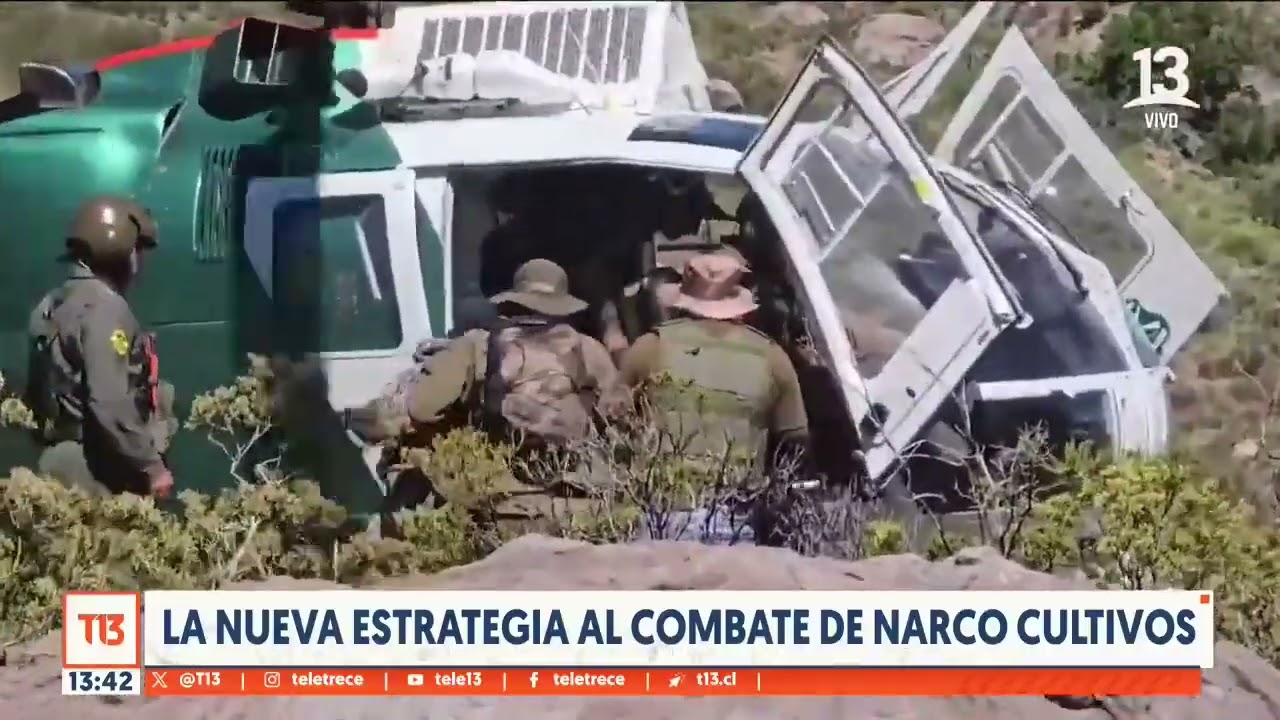La nueva estrategia al combate de narco cultivos