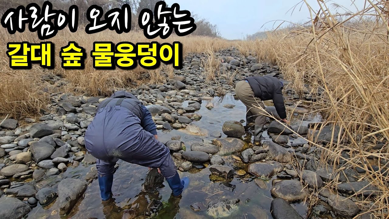 [구독자 이벤트] 동네형님들 하고