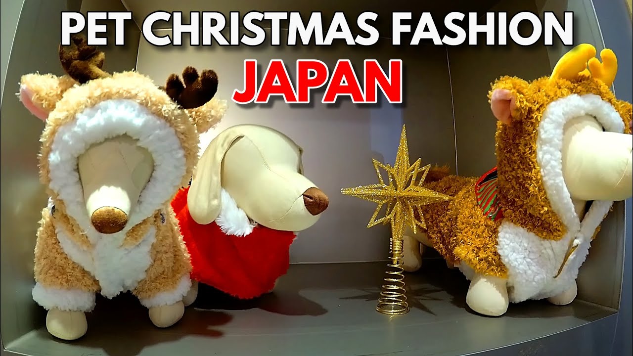 Harajuku's Pet Paradise Store: Fashion Haven for Dogs