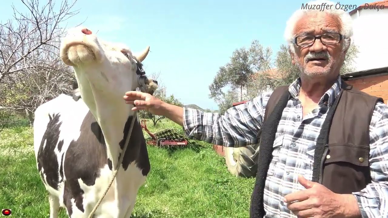 Datça Günlüğü - Mart'ın Son Günleri - Karaköy ve Kızlan'dan Manzaralar