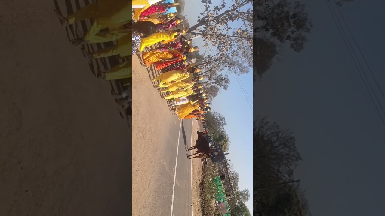 କଳସ ଯାତ୍ରା #ଅନକାବେଡା ଗାୟତ୍ରୀ ଯଜ୍ଞ #