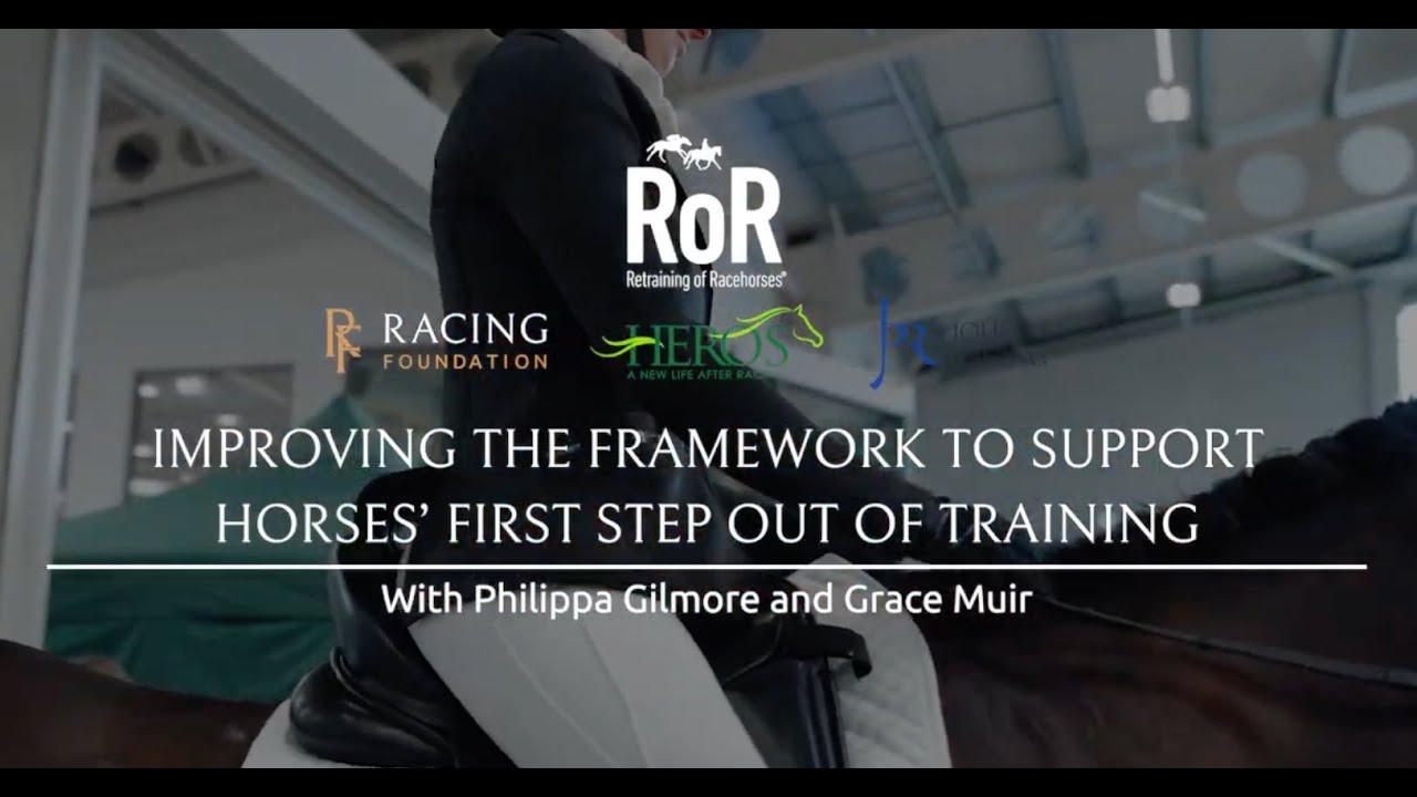 Improving the Framework to Support Horses’ First Step Out of Training