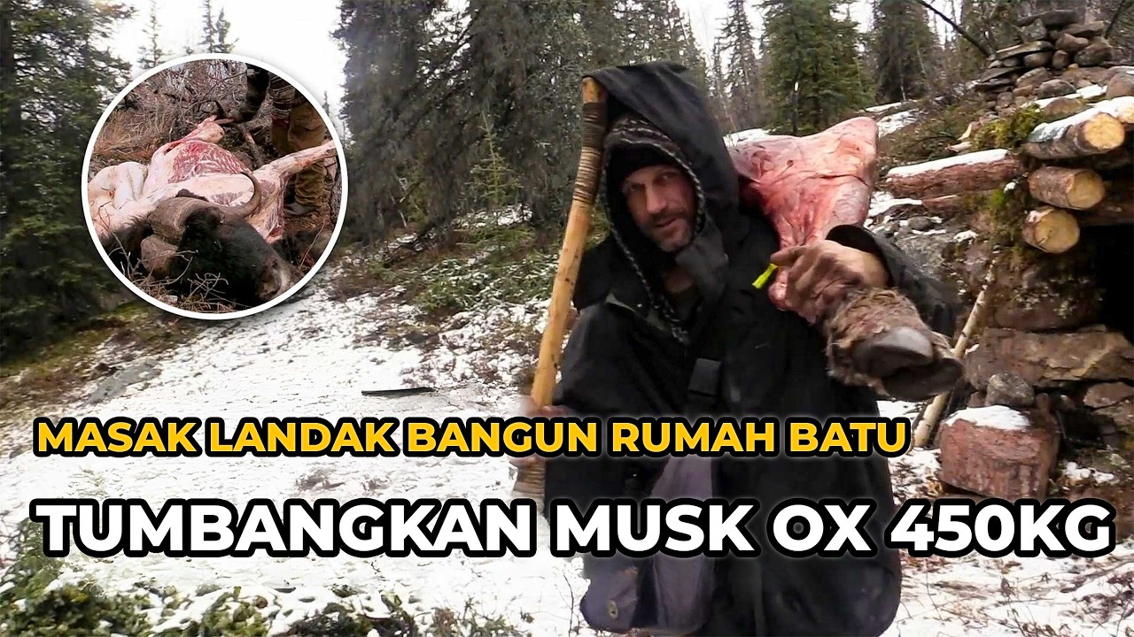 Tonton Kisah Roland Alone Berburu Musk Ox 450kg Masak Landak Bangun Rumah Batu Mewah | Nafas Liar