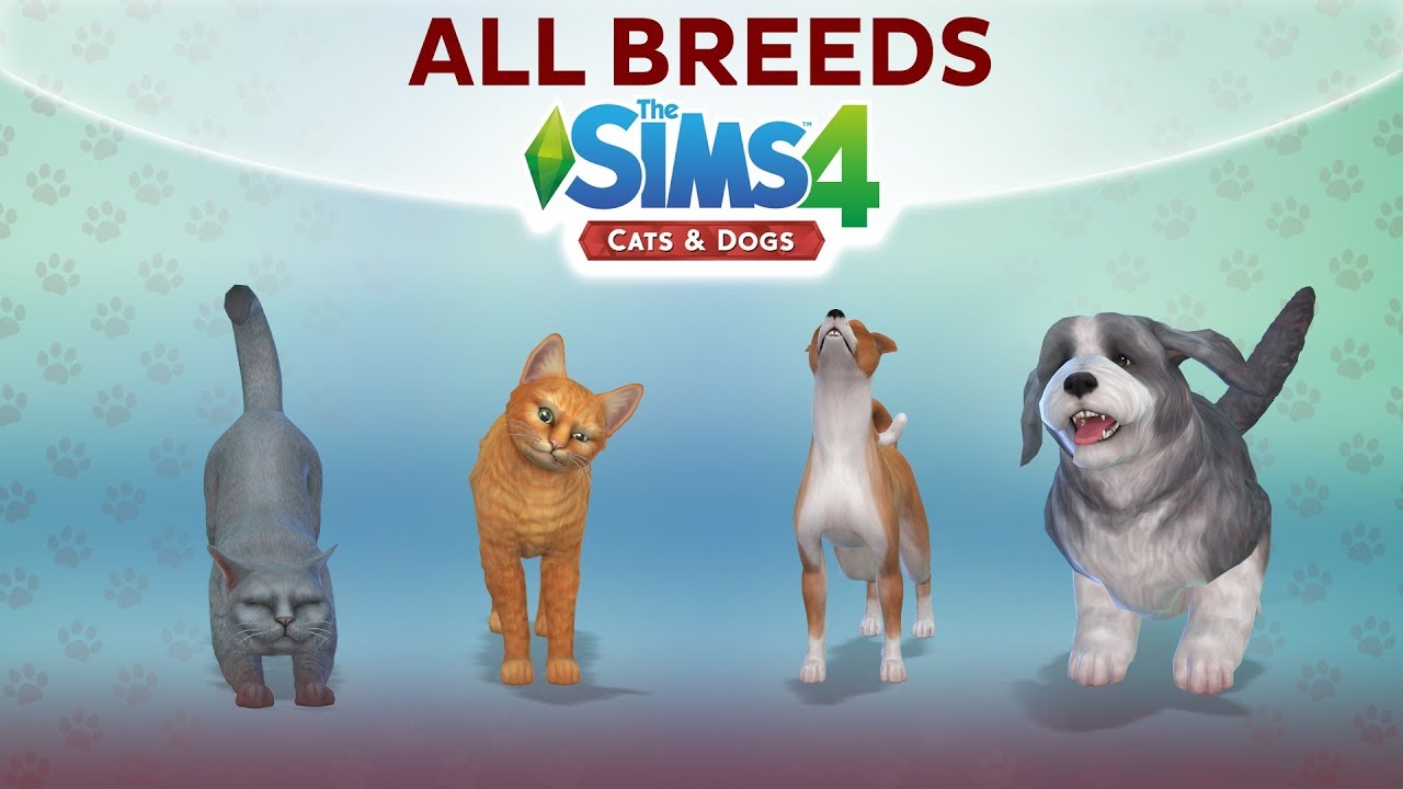 Overview of ALL BREEDS / The Sims 4 Cats & Dogs