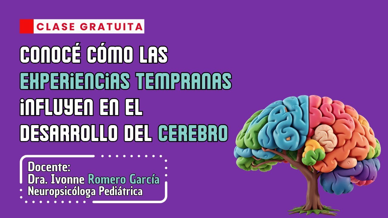 🧠 Cómo las experiencias tempranas influyen en el desarrollo del cerebro | Dra. Ivonne Romero García