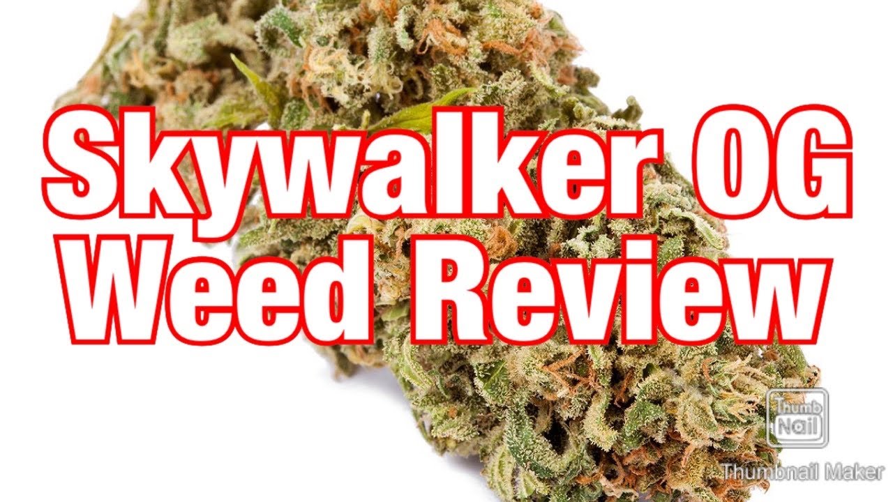 Skywalker OG Weed Strain Review!