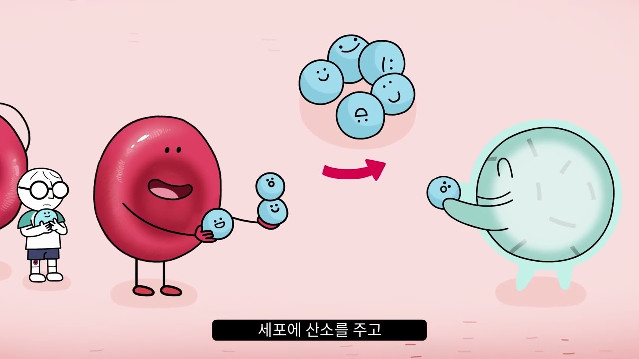 안다과학 3호3단계 도감 혈액