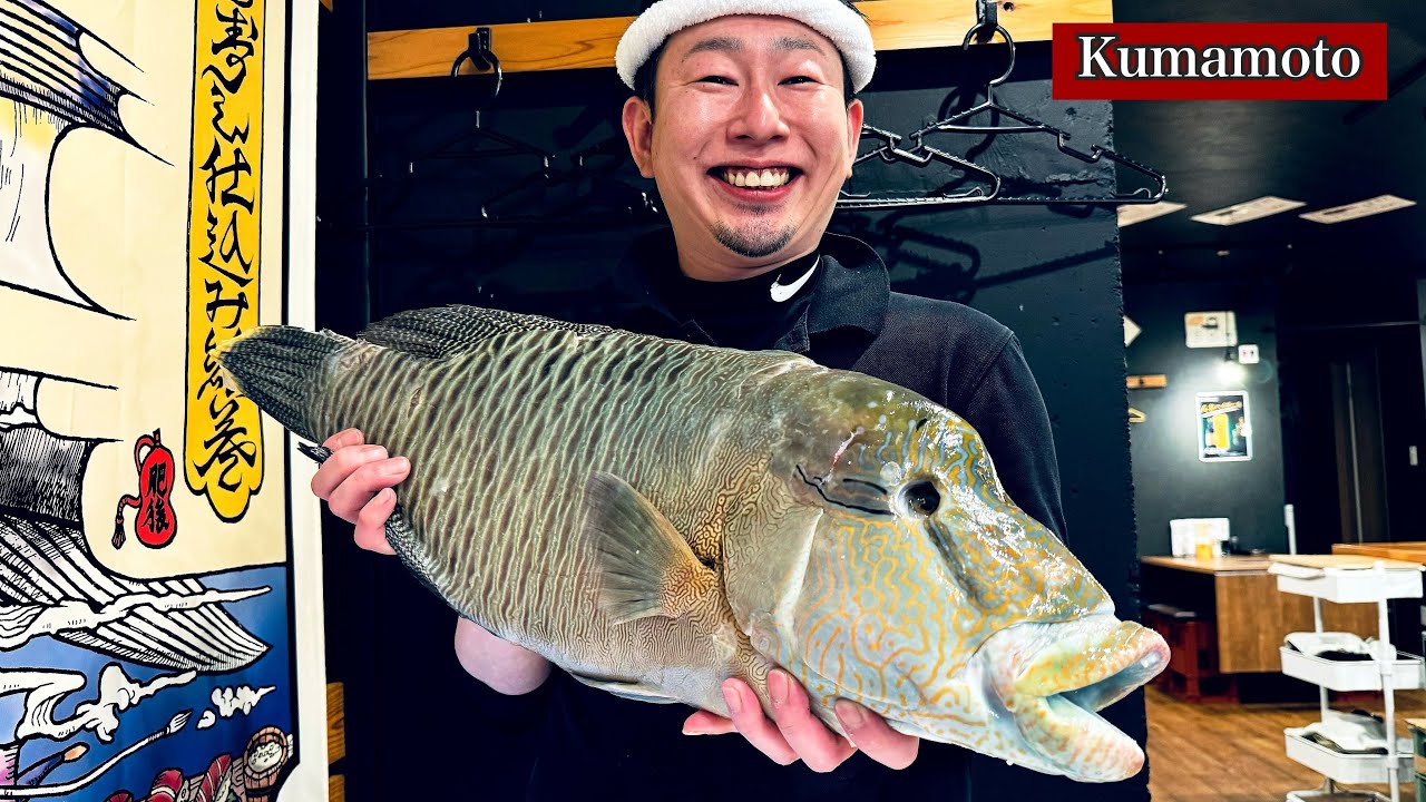 【ありえない】ナポレオンフィッシュを提供する⁈『立ち寿し』キングサーモン、ワタリガニ、天草のウニKumamoto's sushi restaurant serving Napoleon Fish