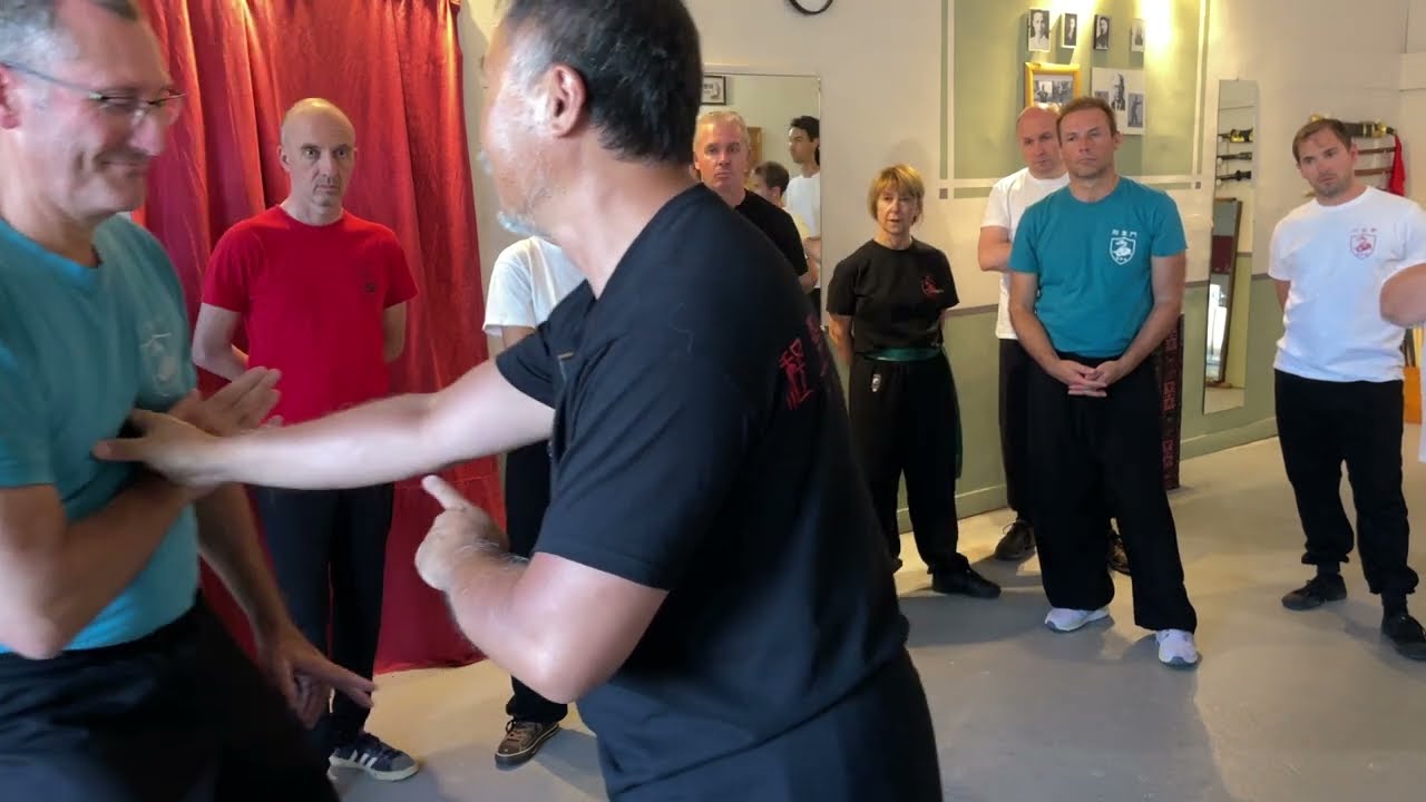Arts martiaux internes - Xingyi Quan & Taichi Chuan - Passerelle niveau II: de statique en dynamique