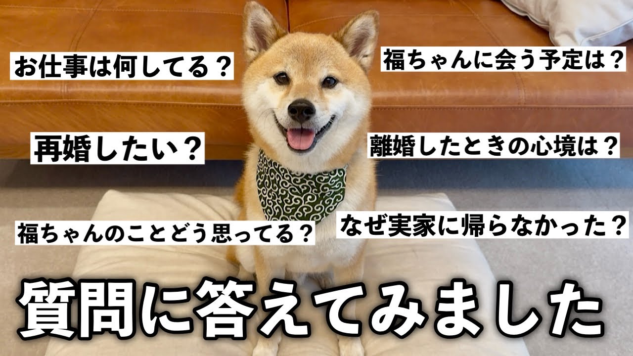 視聴者さんの気になる質問に本音で答えてみました