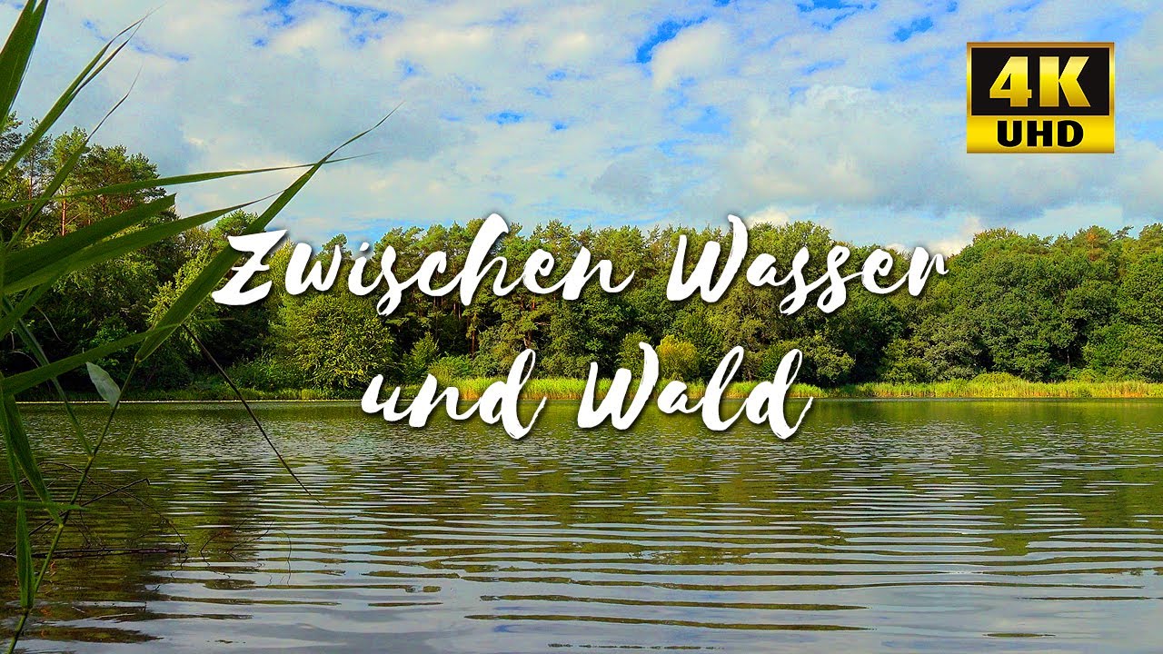 Naturmoment – Zwischen Wasser und Wald
