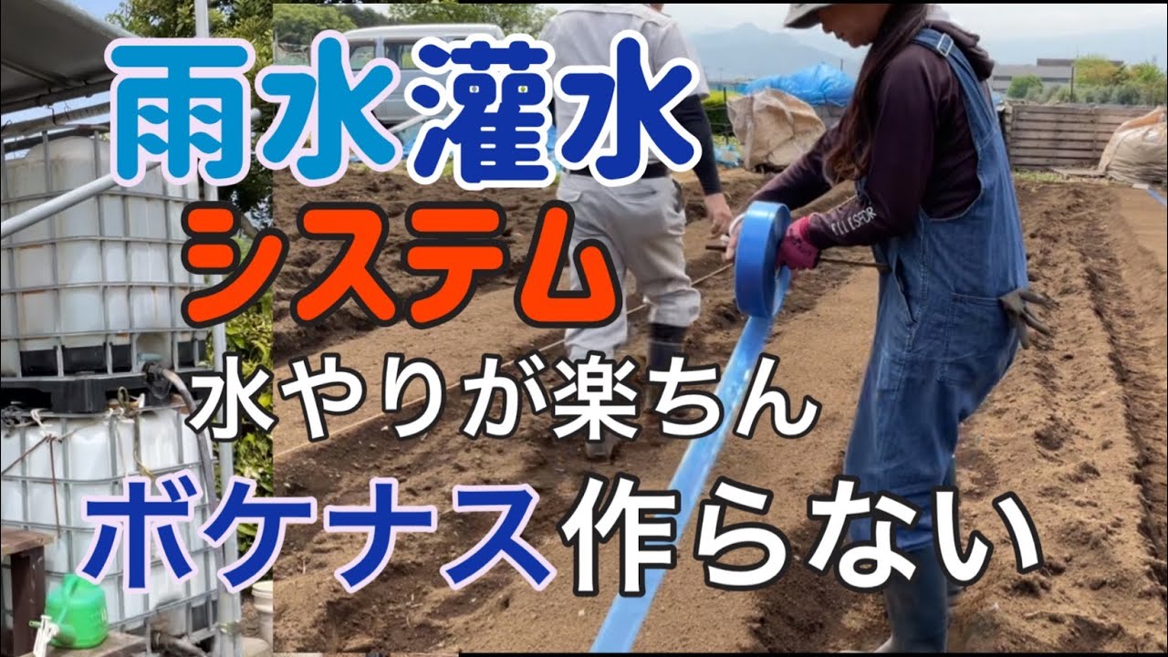 【家庭菜園】水道代高騰、雨水を貯めて灌水チューブを使って楽々水やりシステムを作ろう