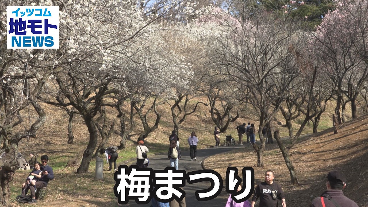 梅まつり【地モトNEWS】2026/3/2放送