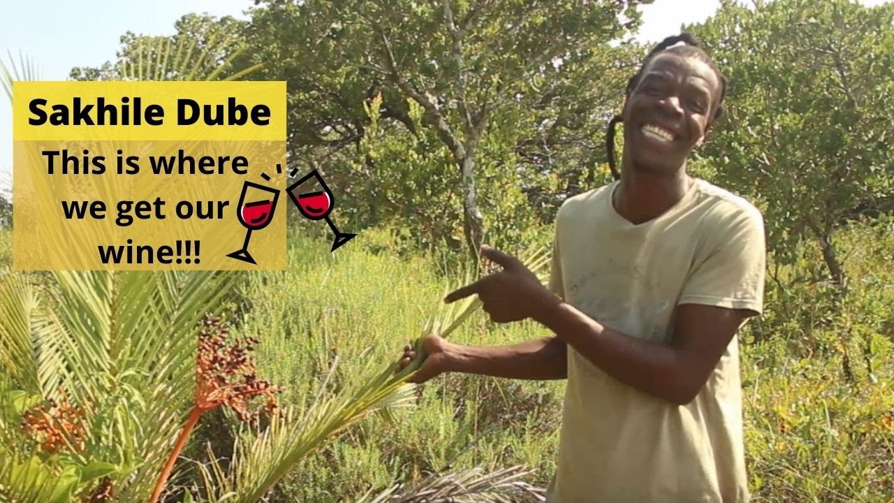 Traditional Palm Wine - Sakhile Dube