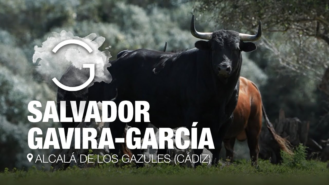 El PARAÍSO en el que viven los toros de Salvador Gavira-García