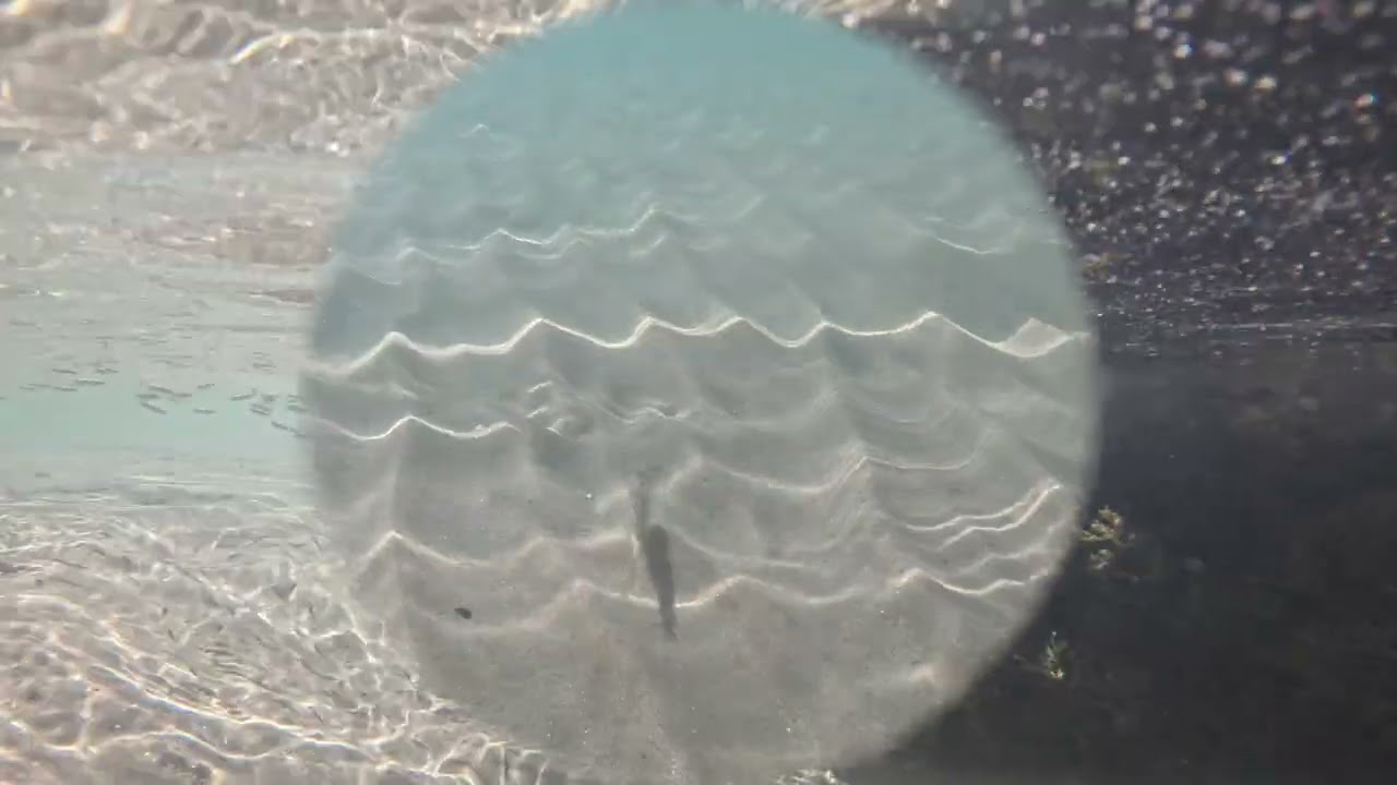Instants de mer