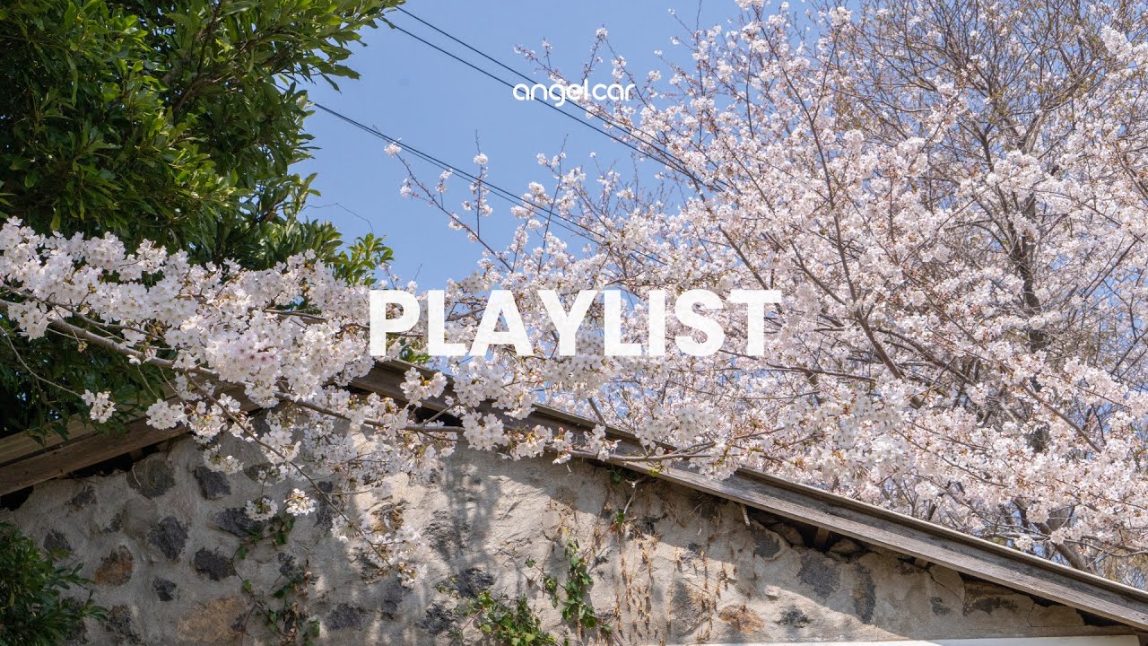 🌸설레는 봄날, 제주 드라이브 감성 플레이리스트🌸 | 벚꽃길에서 듣기 좋은 봄노래 모음