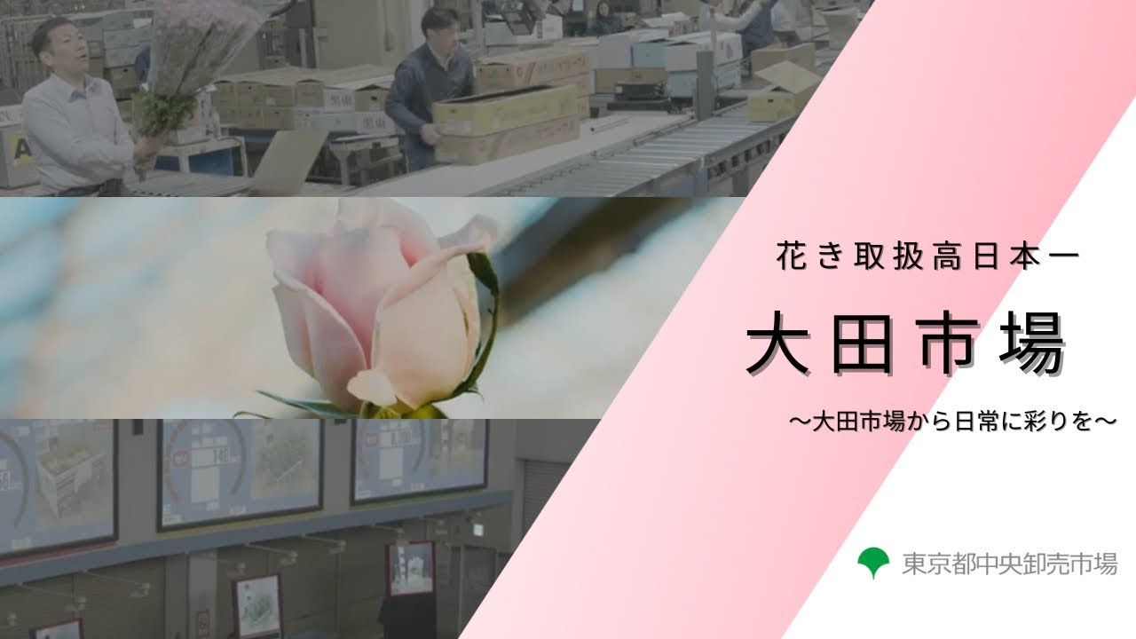 大田市場花き紹介動画　~日本一の花市場　大田市場から日常に彩りを~