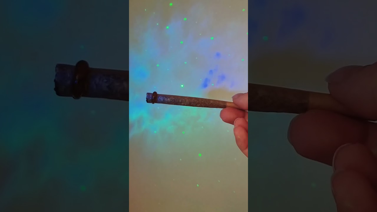 RAW Black Papers with Dab: The Perfect Combo for Rolling Joints #shorts