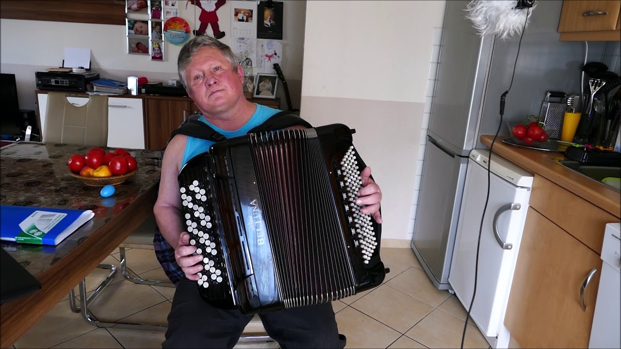 ПТИЦА СЧАСТЬЯ с текстом (COVER)