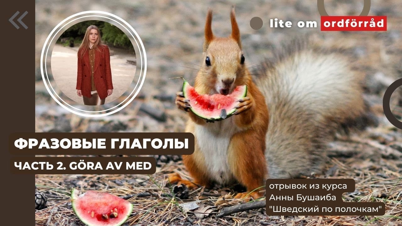 Шведский язык: Словарный запас. Partikelverb. Del 2. göra av med