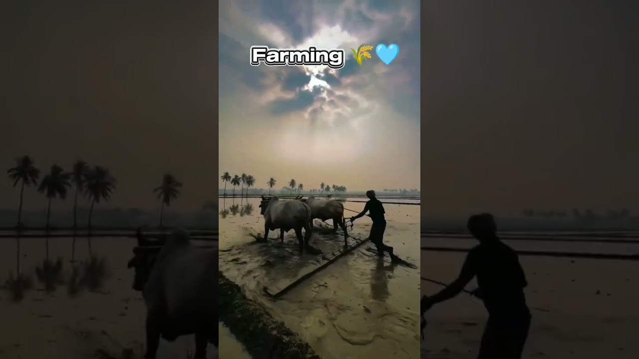 Agriculture❤️ #farming #farms #agriculture #agritech #bhoomihire #farmers #agrifuture #farm