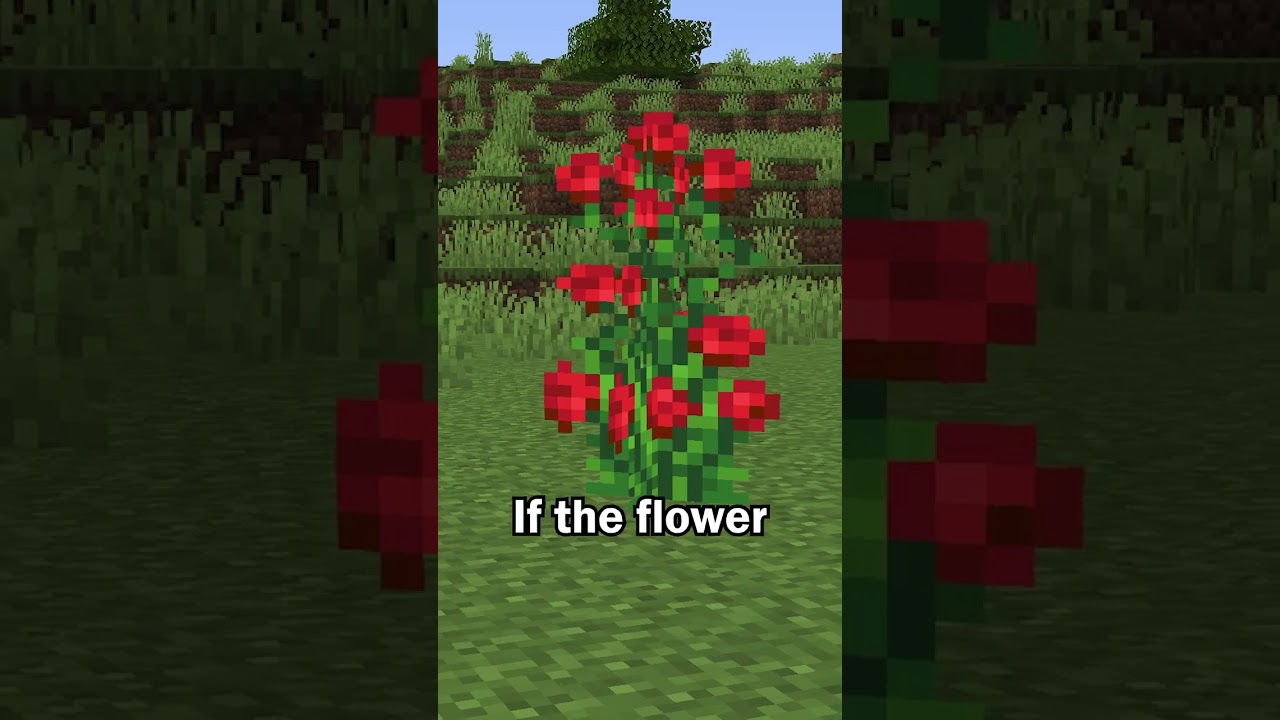 Minecraft Infinite Flower Trick