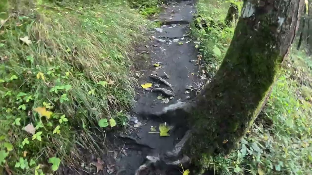 Oeschinensee Trail F Part 2 | Golden Paths Through the Swiss Alps 🍂🇨🇭