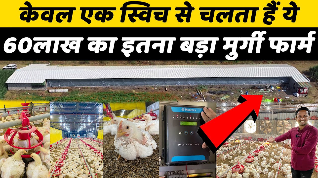A.C / एयर कंडीशनर से लेके म्यूजिक सिस्टम तक सब हैं यहाँ | Fully Automatic EC Poultry Farm Business