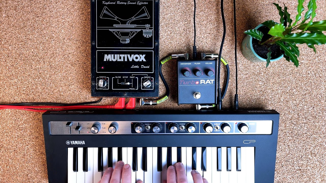 Yamaha Reface CP, Proco Turbo Rat and Multivox Little David LD-2 // Elegy