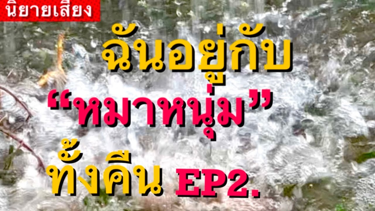 #นิยายเสียง:ฉันเล่นกับหมาหนุ่ม..ทั้งคืนEp2.#เรื่องสั้น#เรื่องเล่าต่างประเทศ