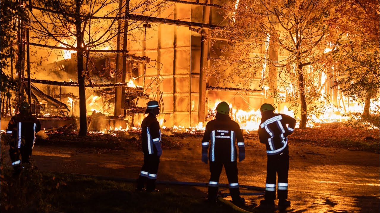Scheune brennt komplett ab: 500 Schweine vor Flammen gerettet