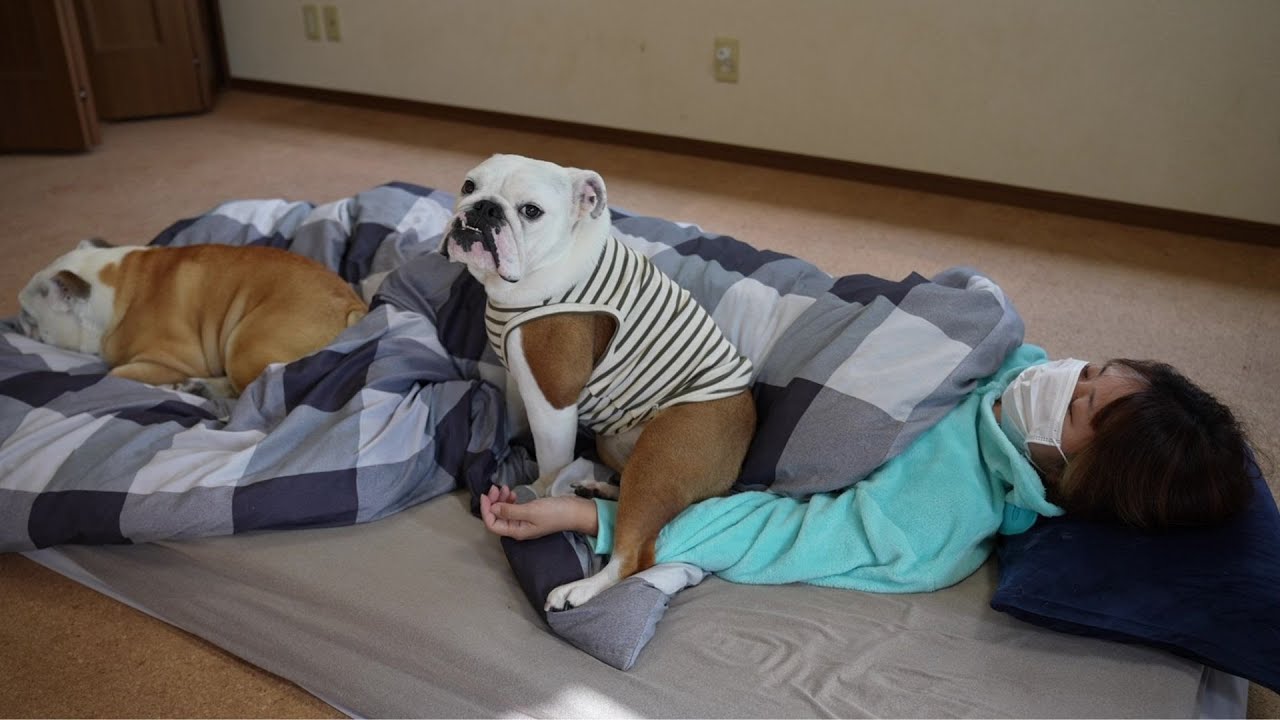 体調不良で病院から帰ってきたママを看病する愛犬の姿が優しすぎました…